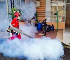 Descubra as Melhores Dedetizadoras em São Paulo Hoje! Descubra as Melhores Dedetizadoras em São Paulo Hoje!