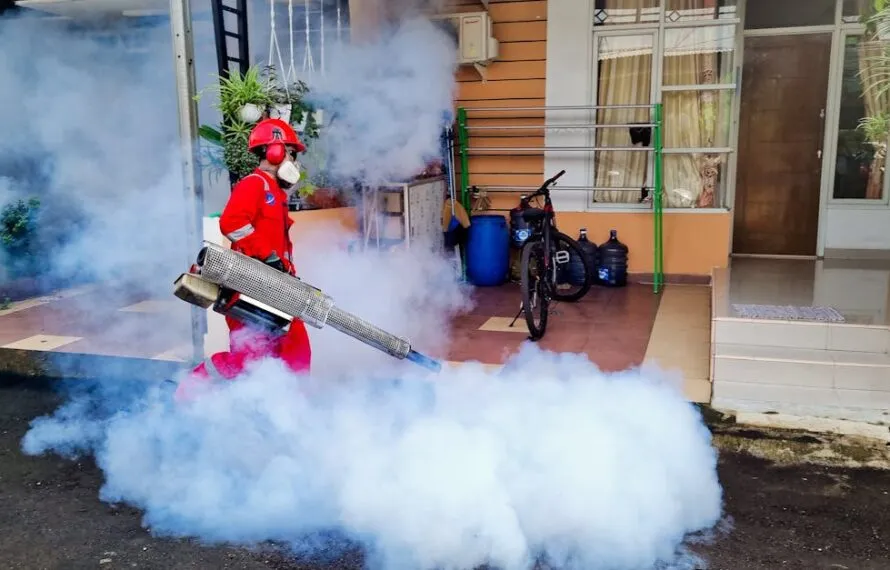 Descubra as Melhores Dedetizadoras em São Paulo Hoje! Descubra as Melhores Dedetizadoras em São Paulo Hoje!