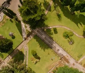 Descubra as Melhores Empresas de Paisagismo em São Paulo