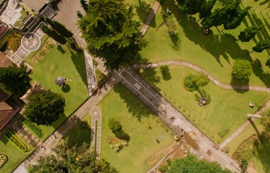 Descubra as Melhores Empresas de Paisagismo em São Paulo