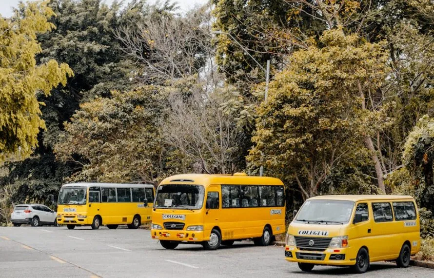 Descubra as Melhores Empresas de Transporte Escolar em SP Descubra as Melhores Empresas de Transporte Escolar em SP