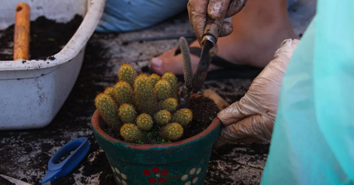 Descubra os Melhores Jardineiros para Manutenção em SP