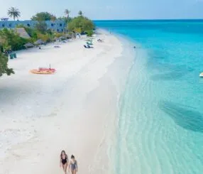 Ideias de piquenique na Praia da Mococa paradisíaca