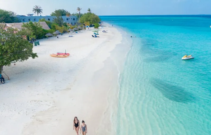 Ideias de piquenique na Praia da Mococa paradisíaca