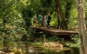 Descubra o que fazer em Caraguatatuba além de praia
