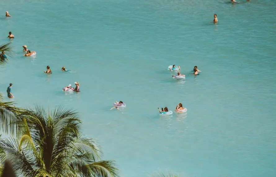 Praia da Fazenda: o paraíso do banho e churrasco em Ubatuba