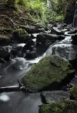 Roteiro de ecoturismo em Juquehy e cachoeiras incríveis