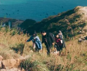 Trekking com vista para a Praia de Castelhanos: descubra!