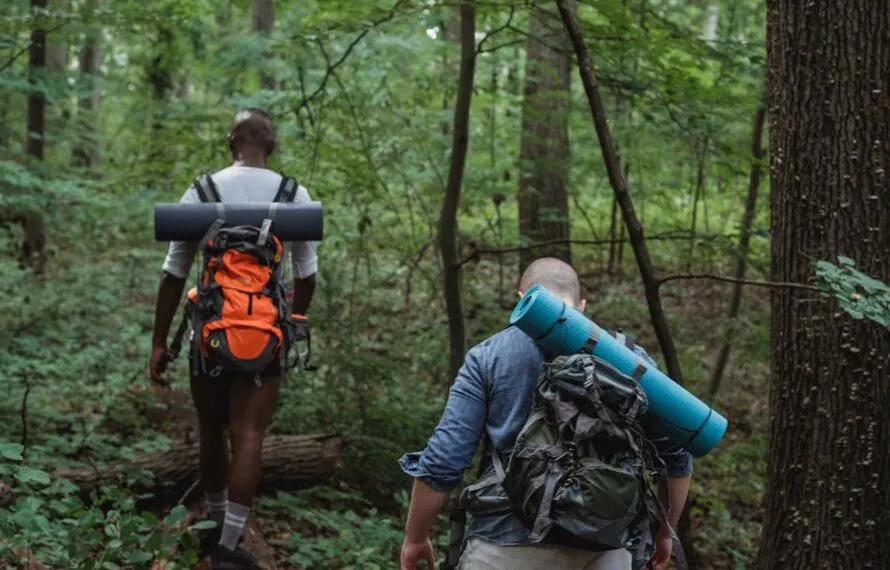Trilha até a Praia do Bonete: desafios e segurança essenciais