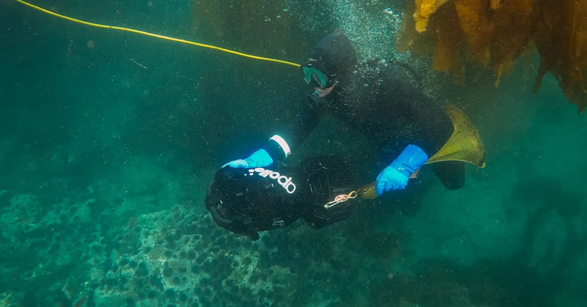 Descubra a magia de visitar a Praia do Camburizinho com snorkel