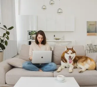 Como proteger o sofá da sujeira e do cachorro sem gastar muito
