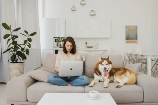 Como proteger o sofá da sujeira e do cachorro sem gastar muito